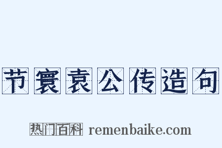 节寰袁公传造句是什么意思的图片